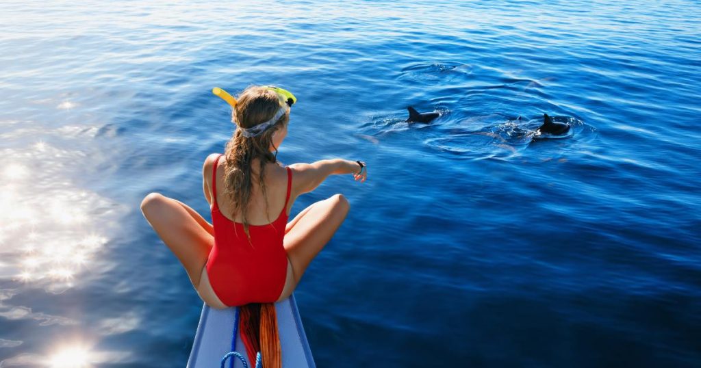 snorkeling avec les dauphins